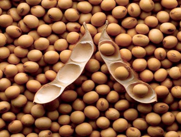 Soybeans