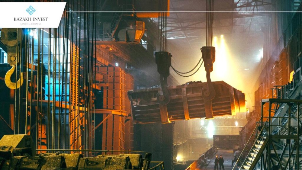 Германская компания строит комбинат на 810 млрд тенге в Жамбылской области